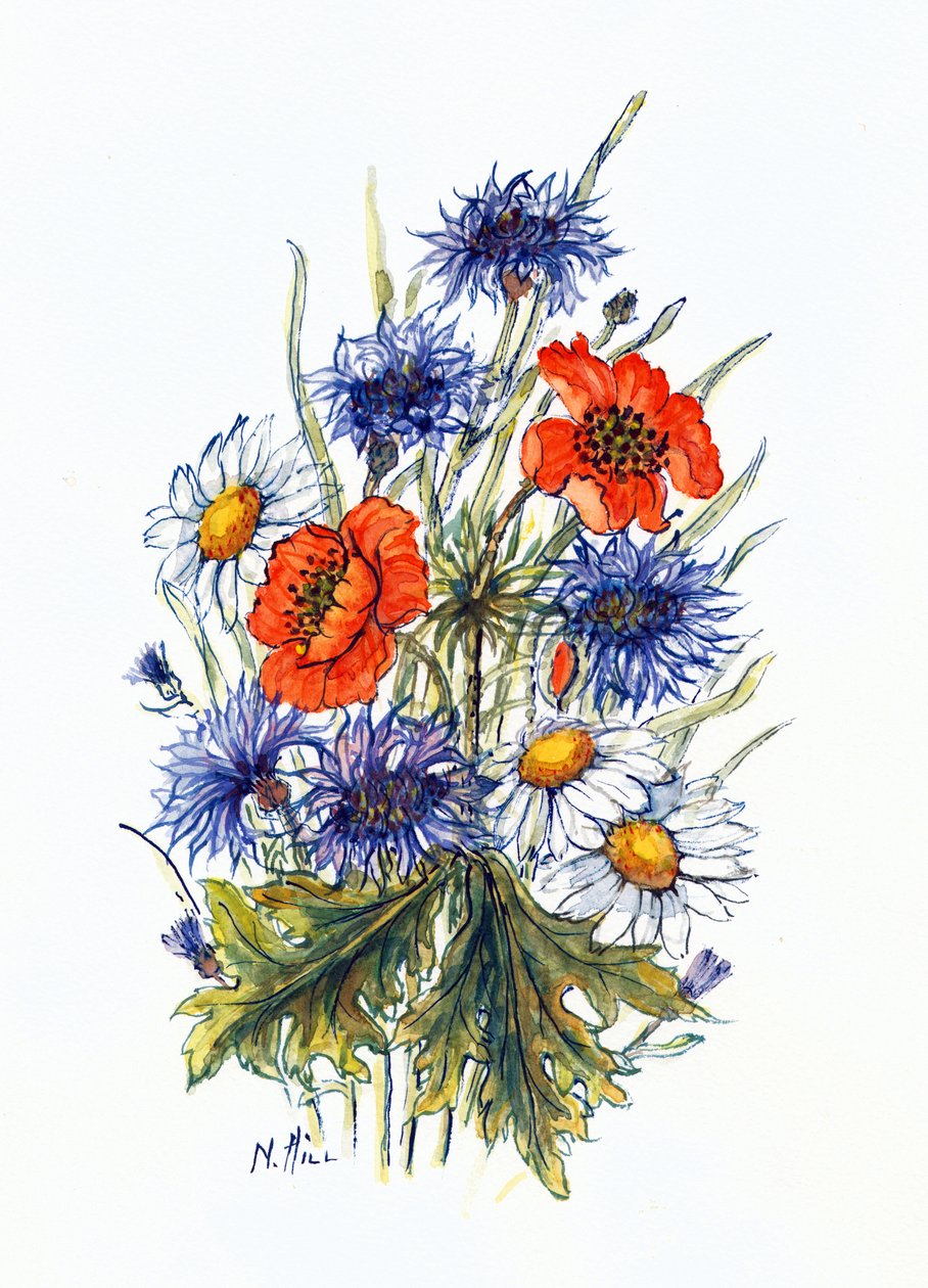Chaber, Mak i Ox-eye Daisy (wc na papierze) autorstwa Nell Hill