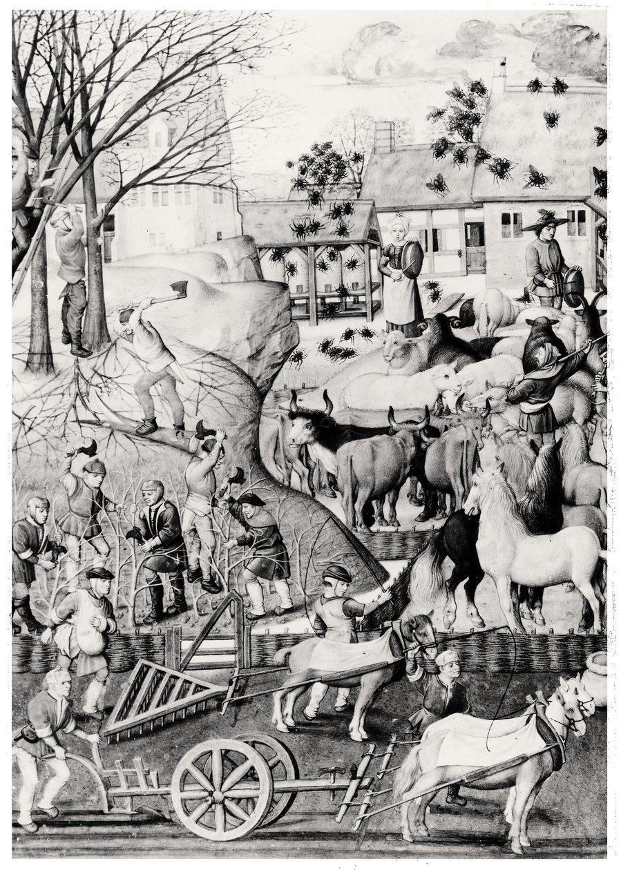 Orka autorstwa Netherlandish School
