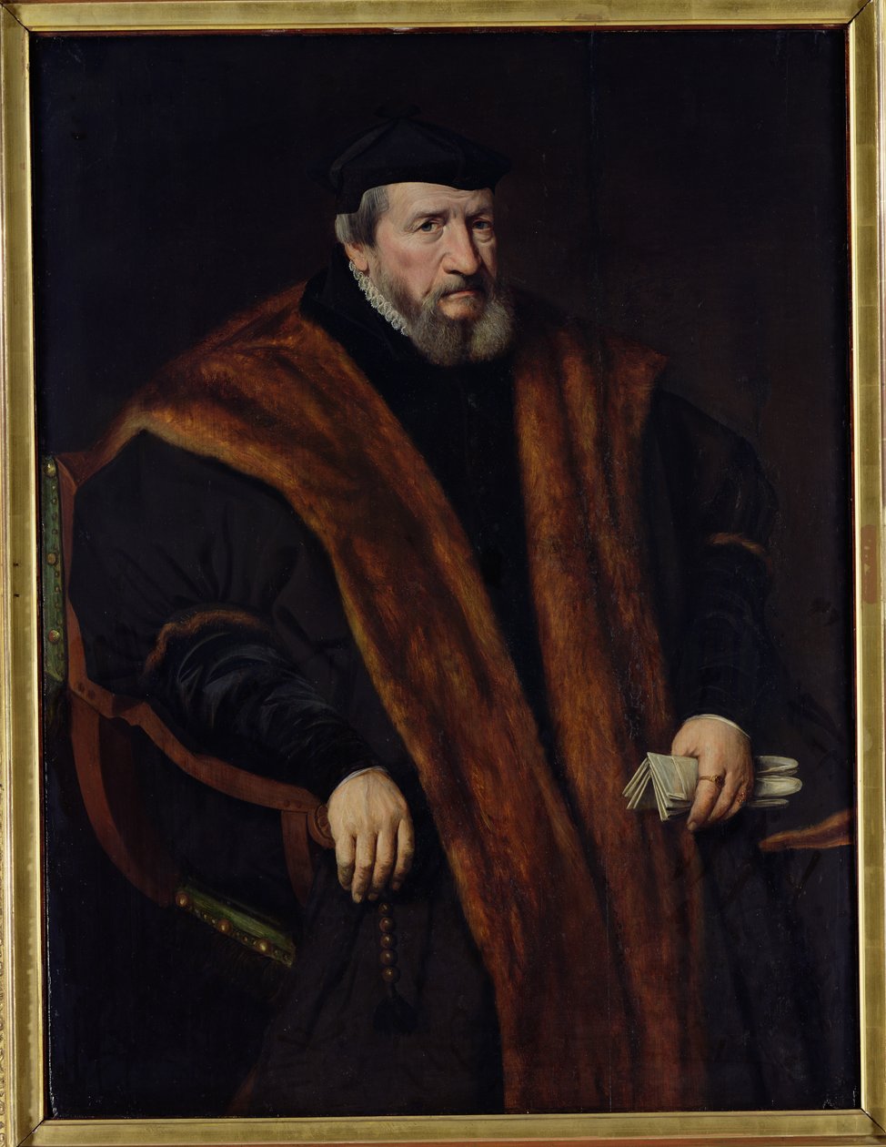 د یو سړي انځور، 1564 پولی autorstwa Netherlandish School