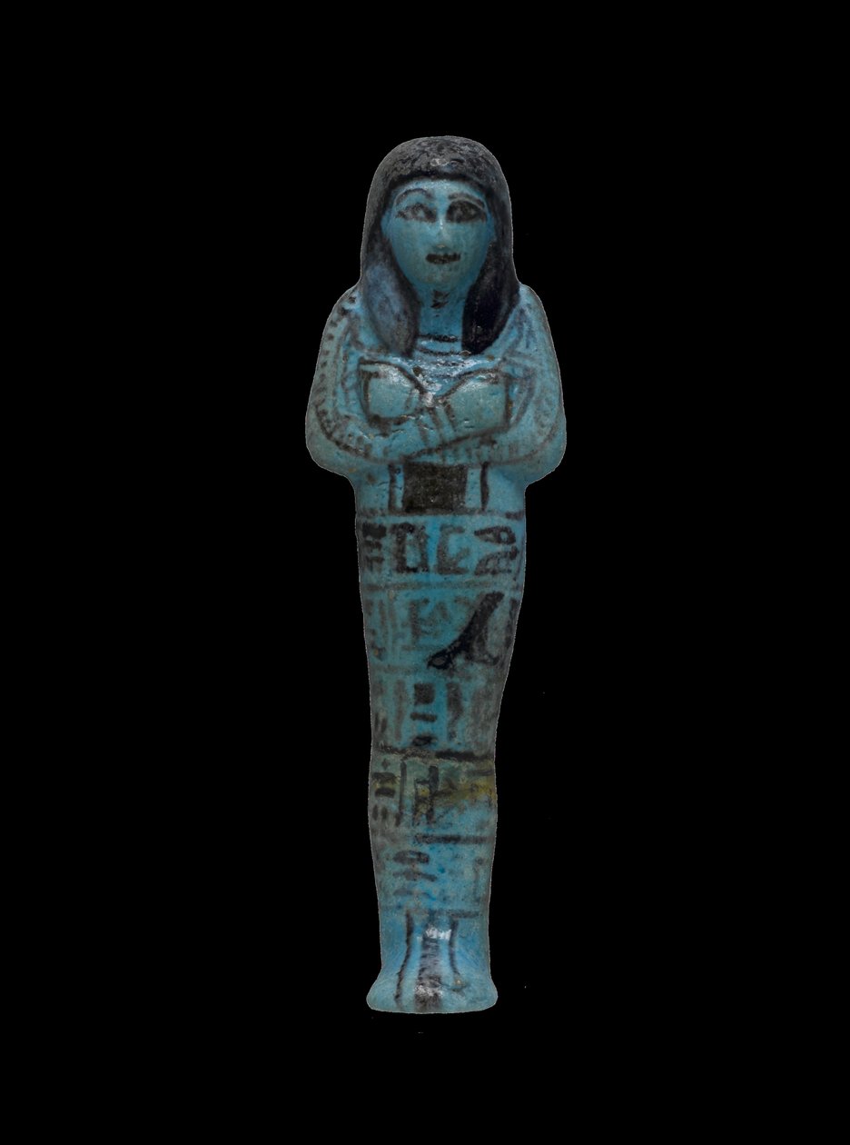 Shabti z Riyi, dynastia 19-20 (fajans) autorstwa New Kingdom Egyptian
