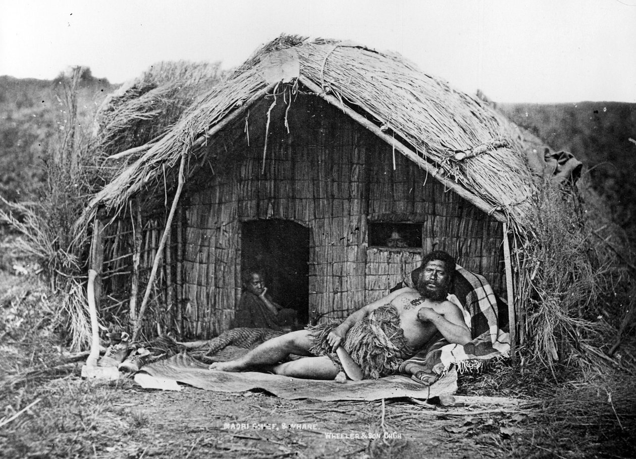 Wódz i dom Maorysów, ok. 1863-80 autorstwa New Zealand Photographer