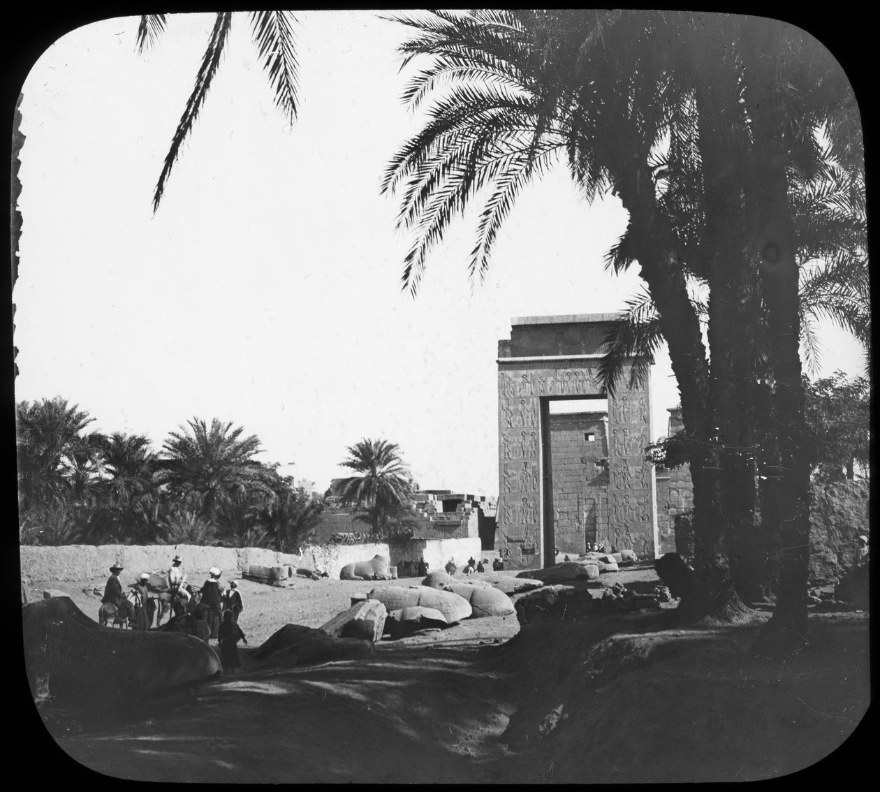 Aleja Sfinksów, Karnak, Egipt, ok. 1890 autorstwa Newton and Co