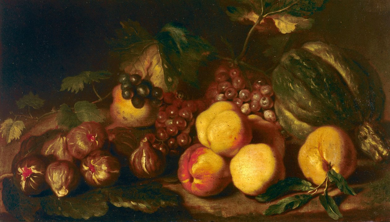 Martwa natura z owocami autorstwa Niccolo Cassana