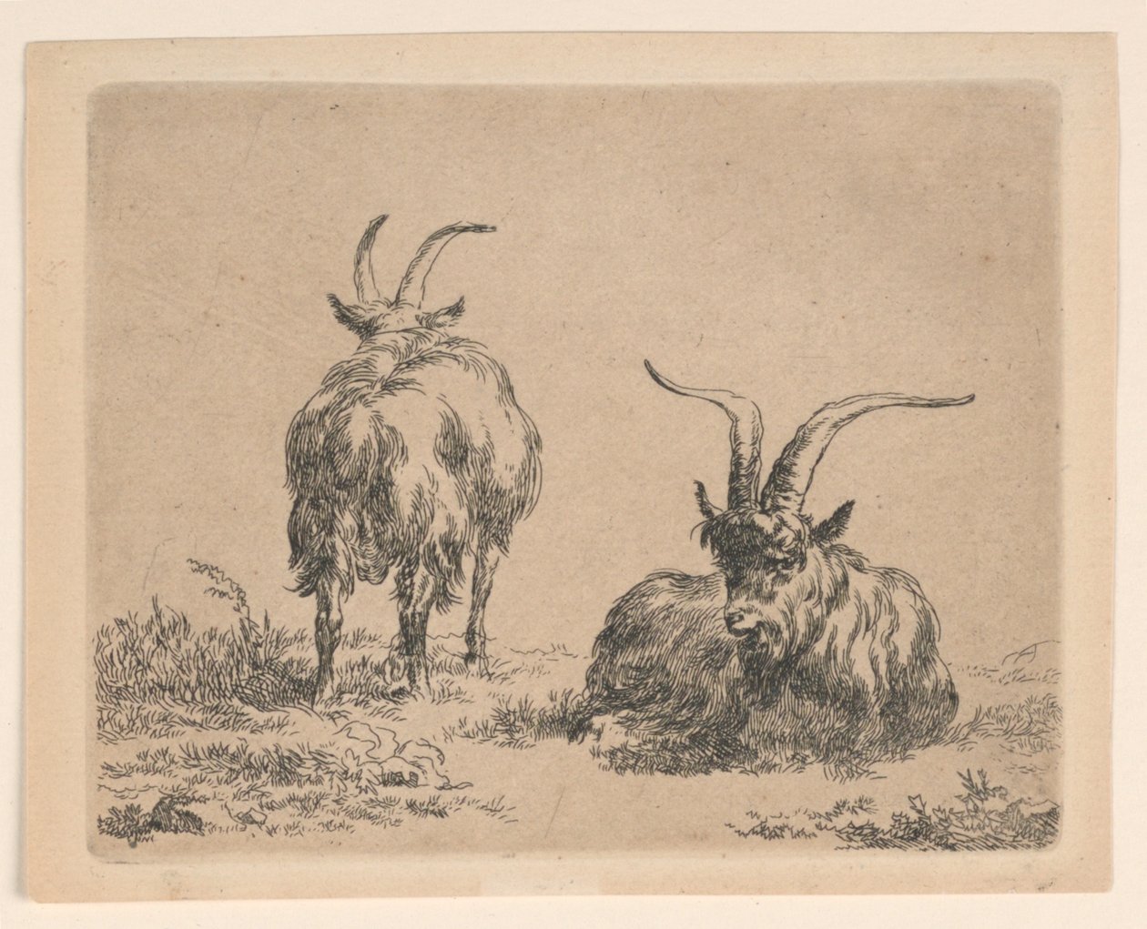 Dwie Kozy autorstwa Nicolaes Berchem