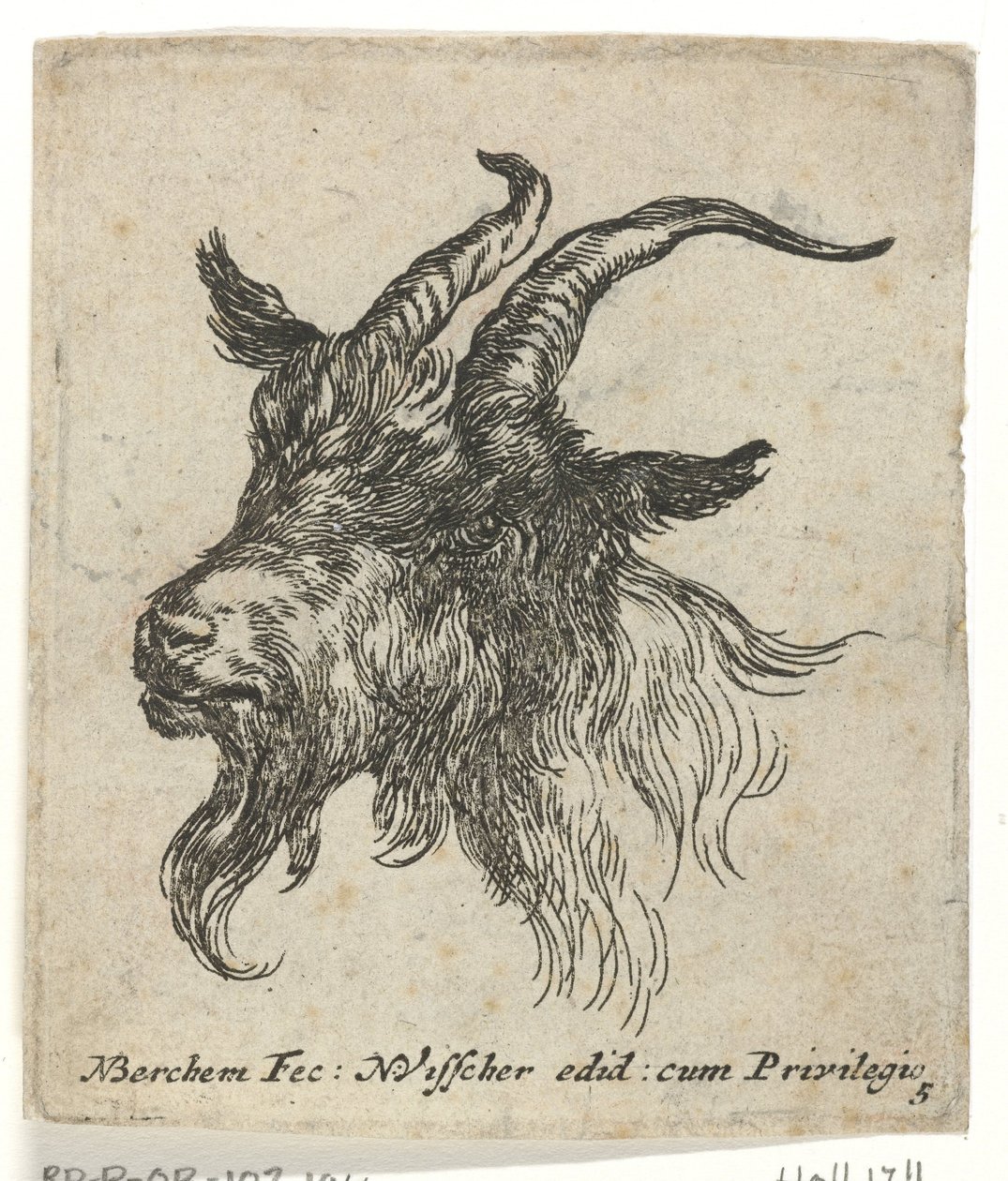 Głowa kozy Zwierzęta (tytuł serii) autorstwa Nicolaes Pietersz Berchem