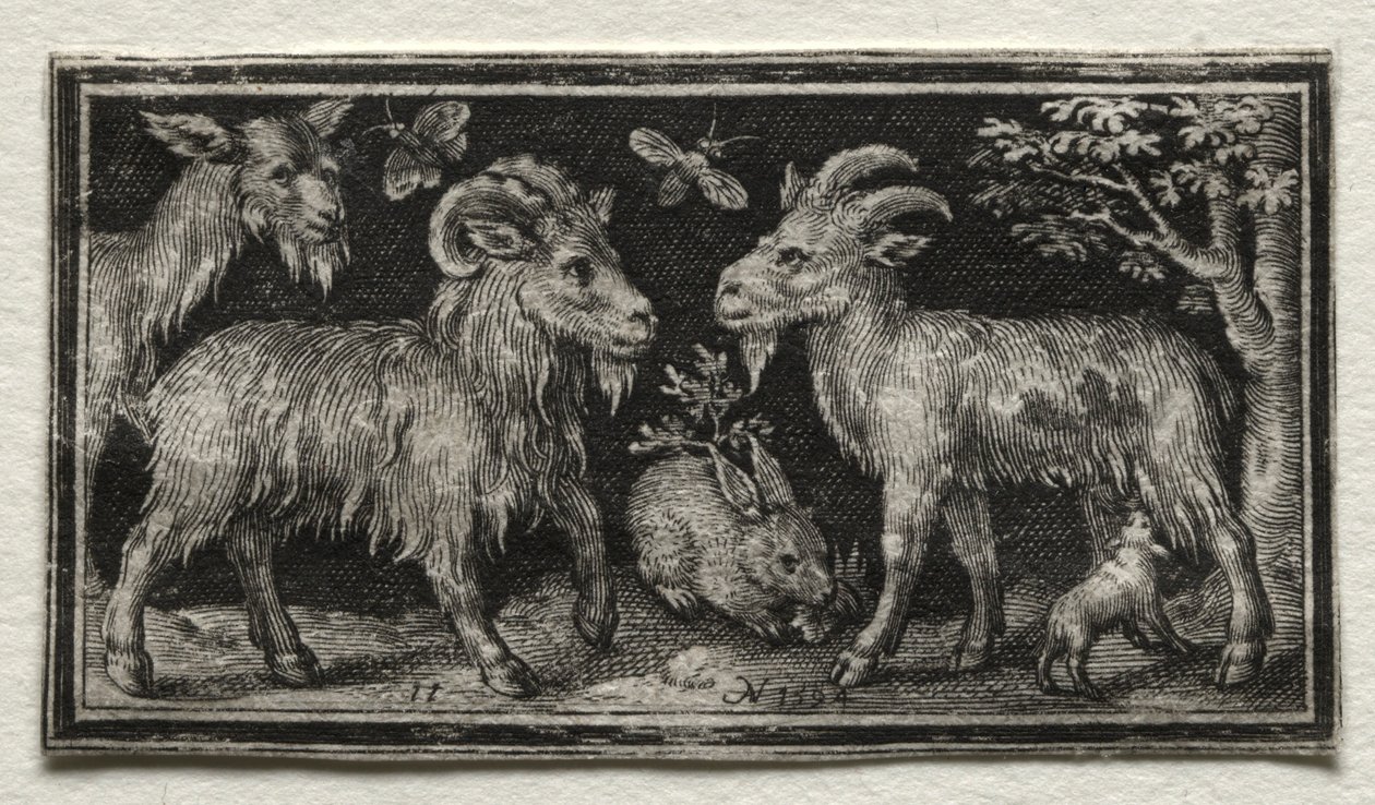 Kozy i zając, 1594. autorstwa Nicolaes de Bruyn