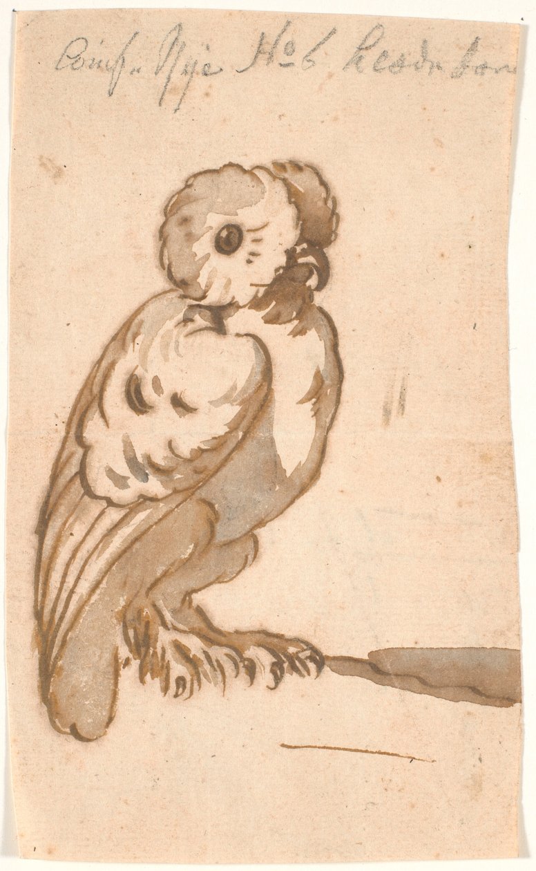 Sowa autorstwa Nicolai Abildgaard