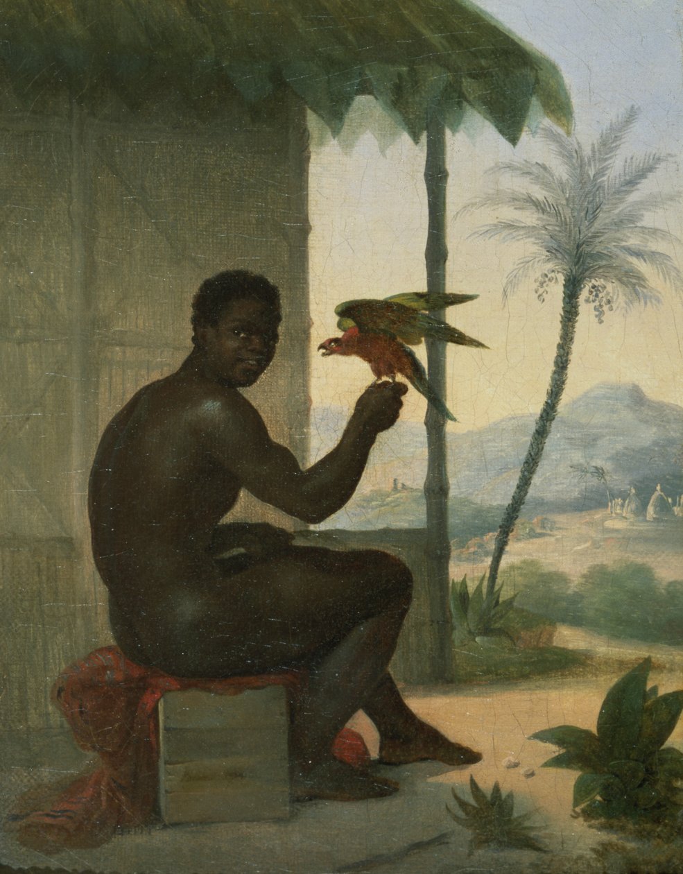 Brazylijska czerń z Tropical Bird autorstwa Nicolas Antoine Taunay