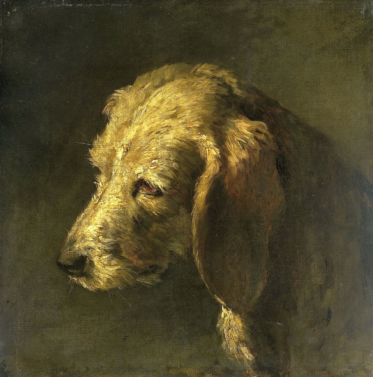 Głowa psa autorstwa Nicolas Toussaint Charlet (attributed to)