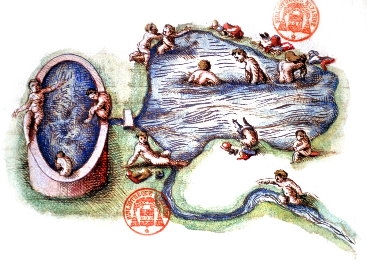 Łaźnie Vichy autorstwa Nicolas de Nicolay