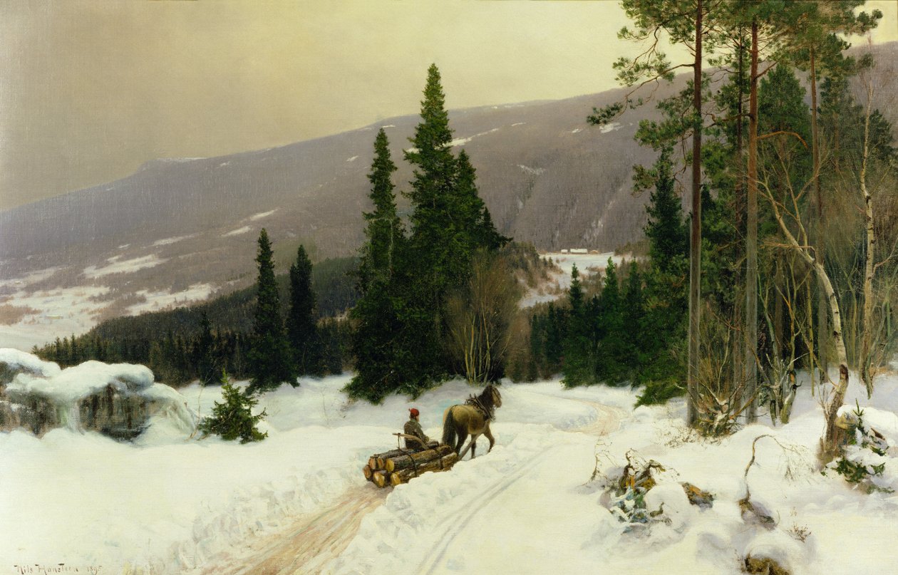 Zima autorstwa Nils Hansteen