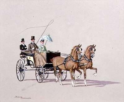 Pająk Faeton, 1972 autorstwa Ninetta Butterworth