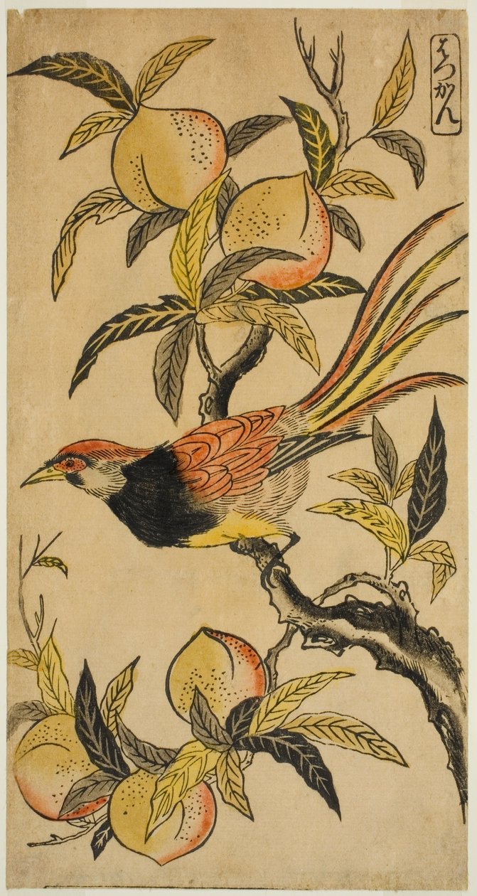 Bażant Srebrny (Hakkan) autorstwa Nishimura Shigenaga