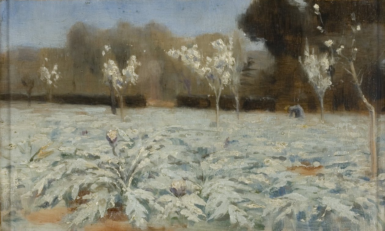 Karczochy, Hyeres autorstwa Norman Garstin