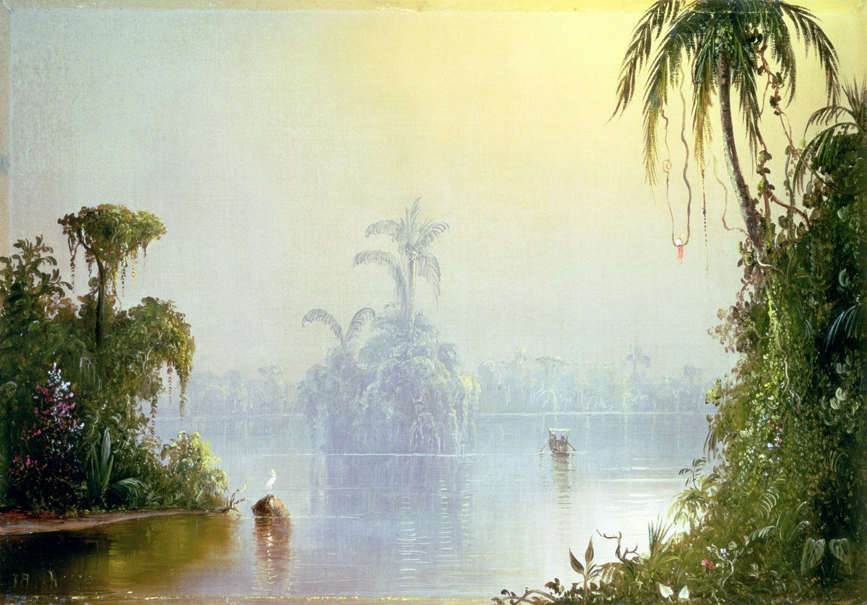Tropikalna mgła, 1879 autorstwa Norton Bush
