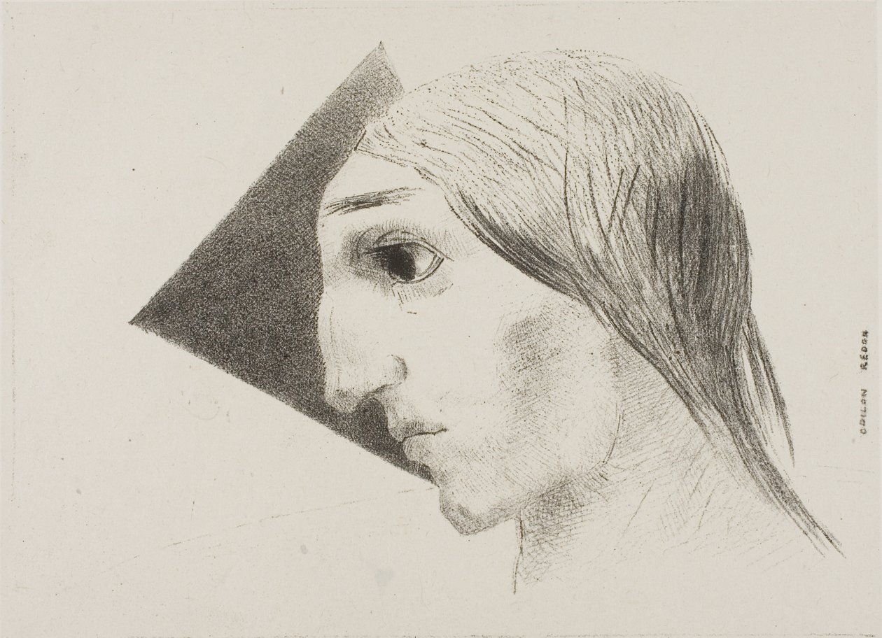 Szaleństwo, płyta szósta od Do Edgara Poe autorstwa Odilon Redon