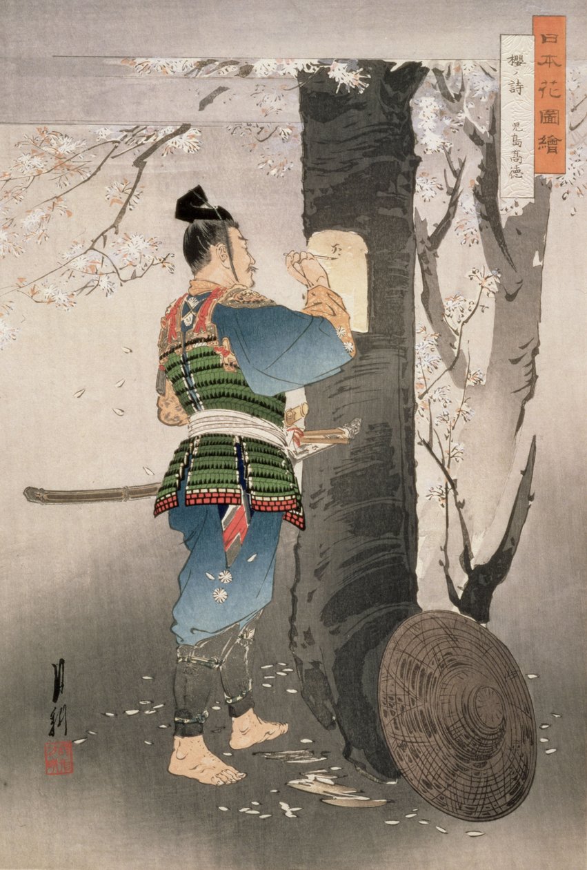 Kojima Takanori pisze wiersz na drzewie wiśni, z serii „Obrazki kwiatów Japonii”, 1895 (drewnodruk) autorstwa Ogata Gekko