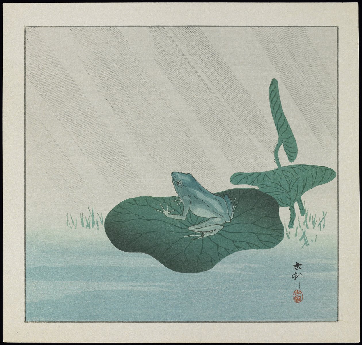 Żaba w deszczu, przed 1912 r. autorstwa Ohara Koson