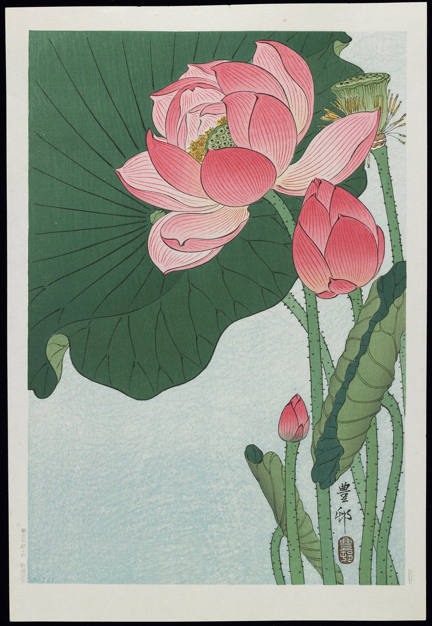 Lotos, lata 30. XX wieku autorstwa Ohara Koson