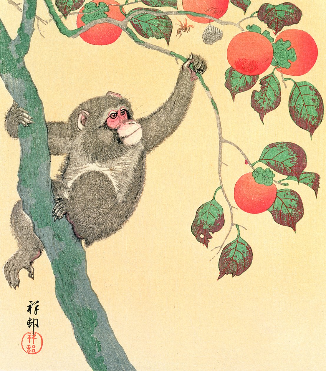 Małpa na drzewie persymonowym, 1935 (odbitka kolorowa w technice woodblock) autorstwa Ohara Koson