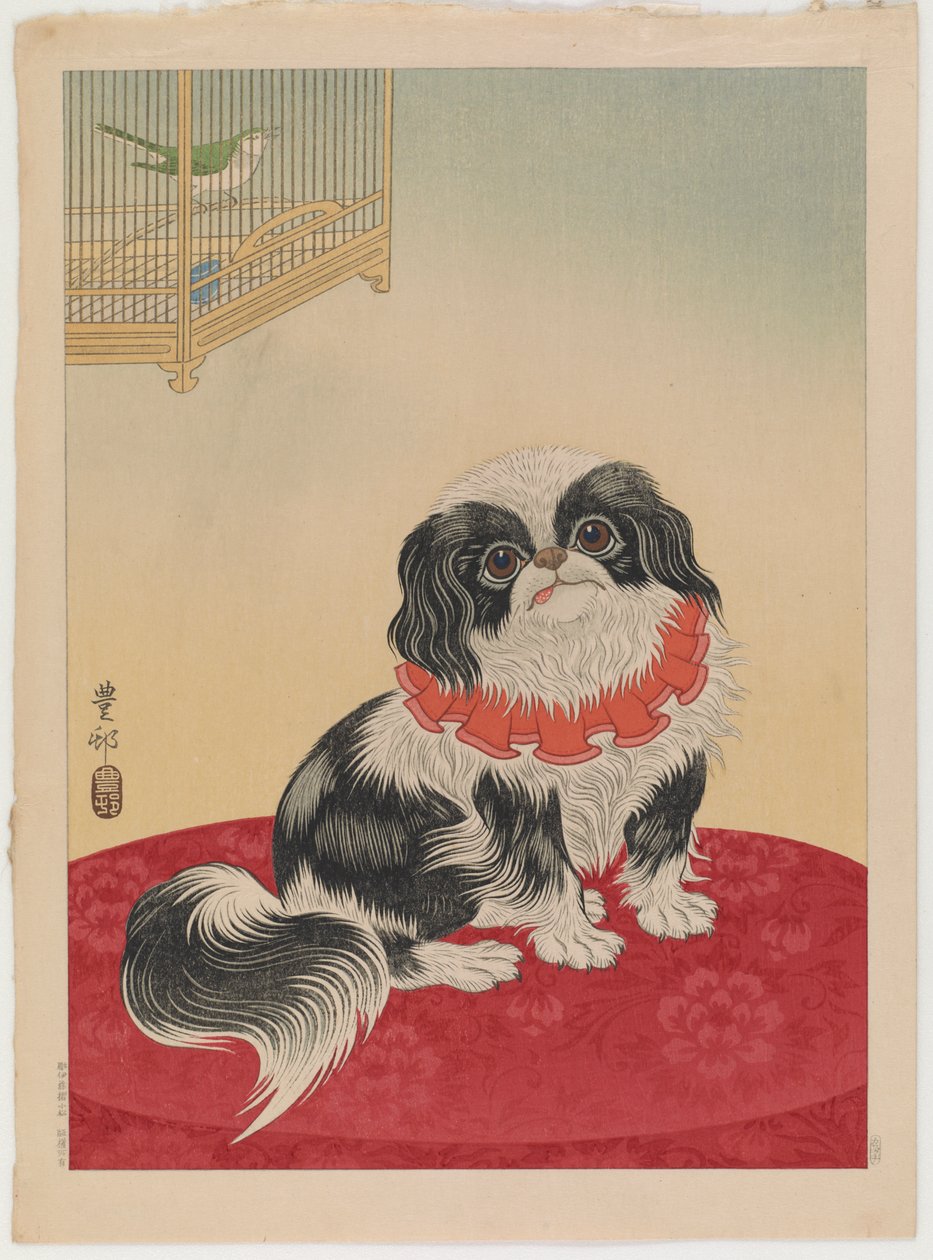 Pies pekińczyk, ok. 1930 (kolorowy drzeworyt) autorstwa Ohara Koson