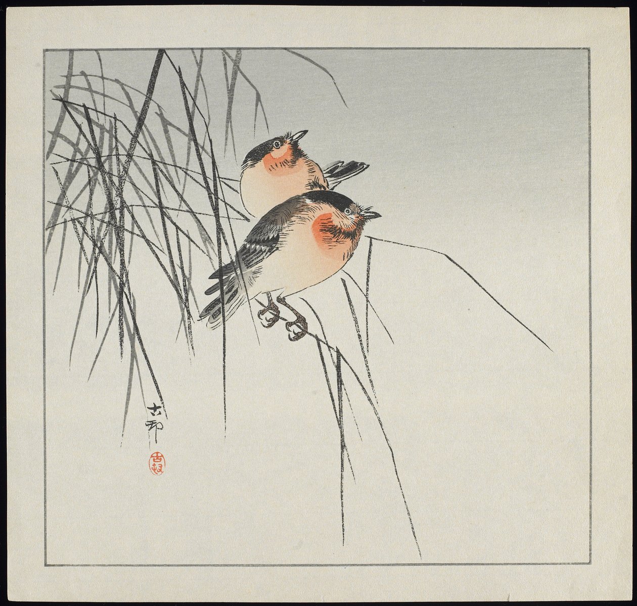 Dwa ptaki na trzcinach, sprzed 1912 r. autorstwa Ohara Koson