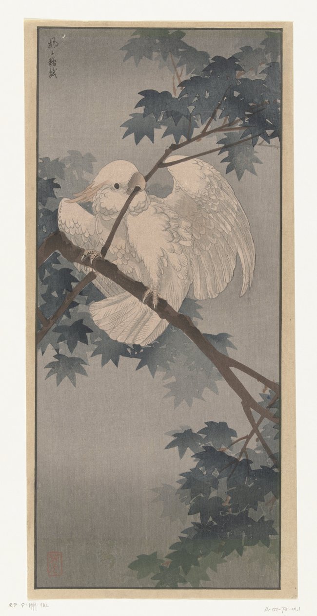 Kakadu żółtoczuba na drzewie autorstwa Ohara Koson (attributed to)