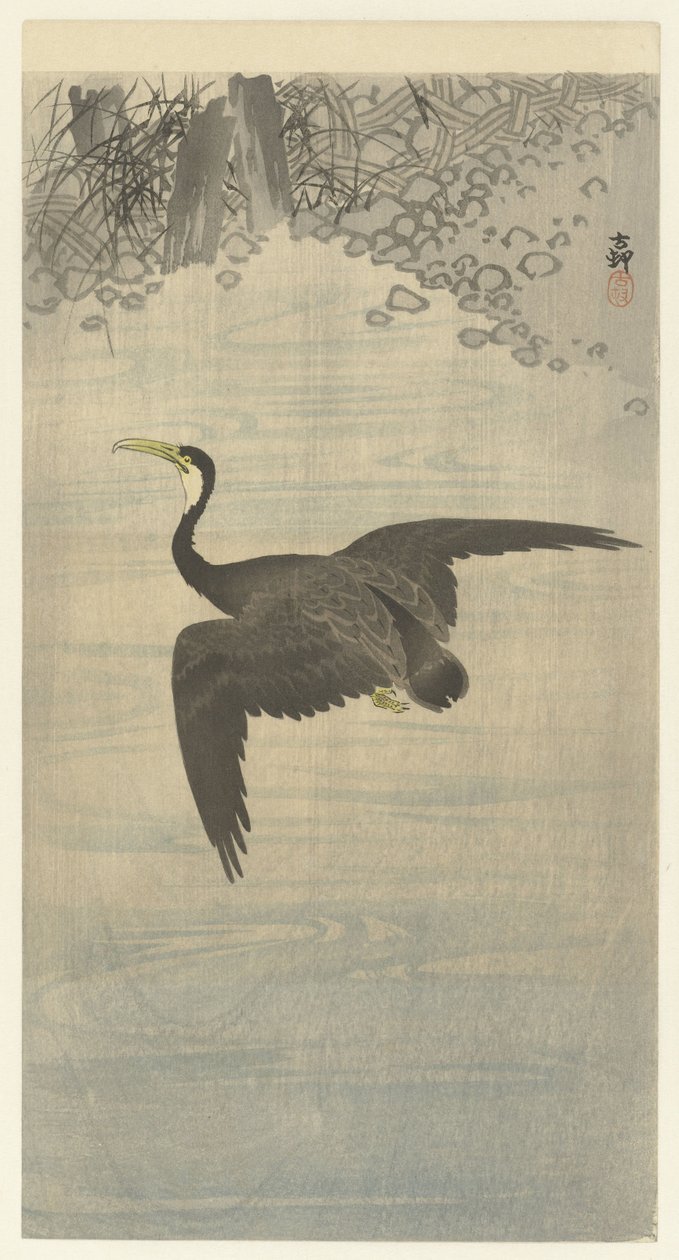 kormoran w locie autorstwa Ohara Koson