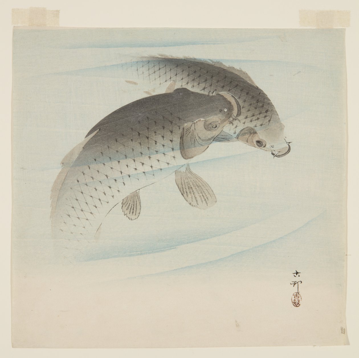 Karp (Koi) (kolorowy drzeworyt) autorstwa Ohara Koson