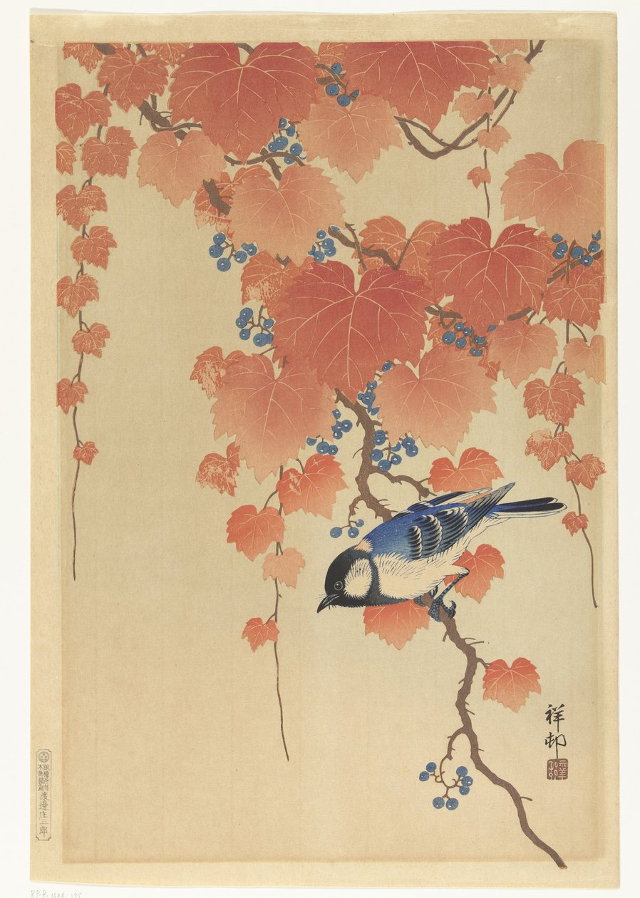 Coal Tit jest oddziałem Paulowni autorstwa Ohara Koson