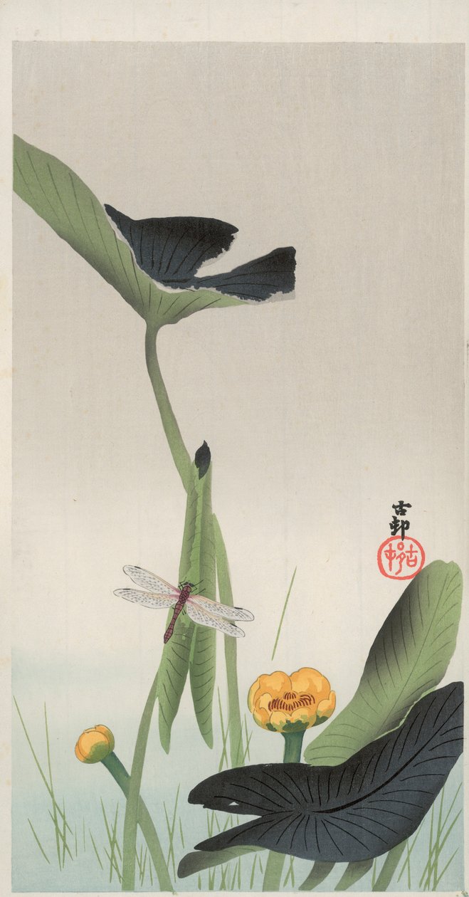 Ważka i Lotos (kolorowy drzeworyt) autorstwa Ohara Koson