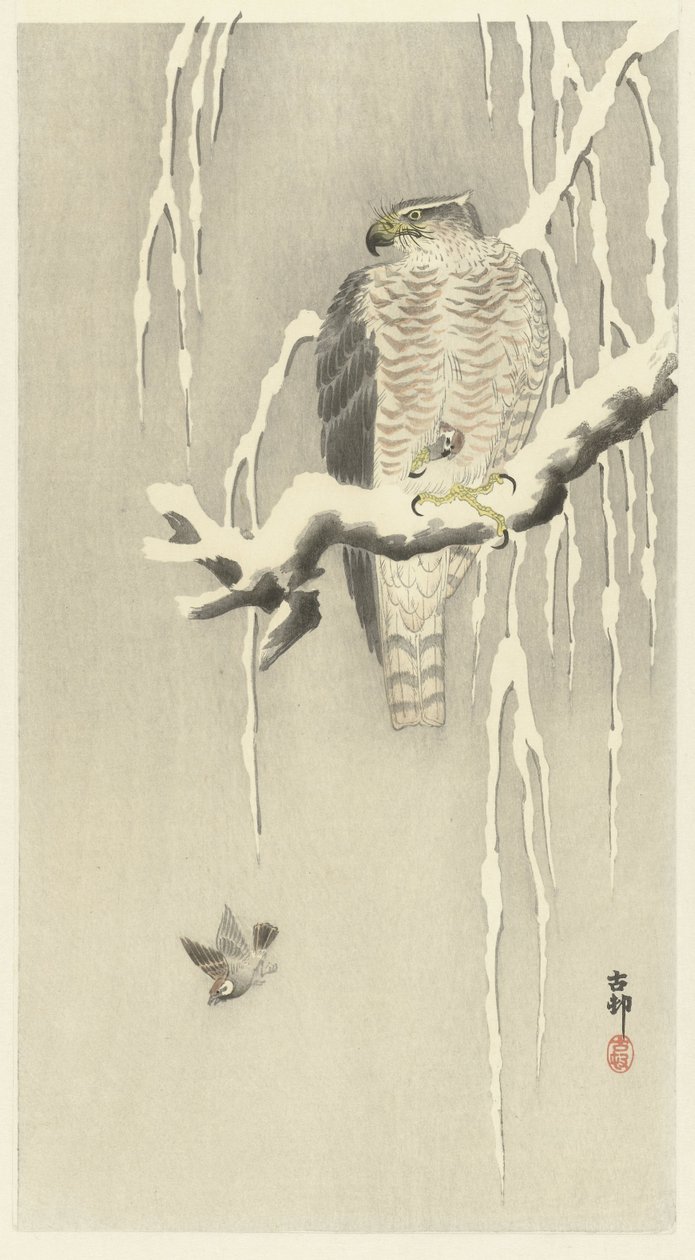 Jastrząb z wróblem w niewoli. autorstwa Ohara Koson
