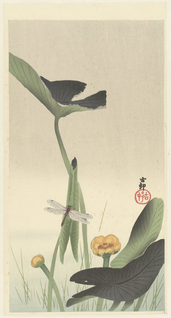 Lotos zniesławienie autorstwa Ohara Koson
