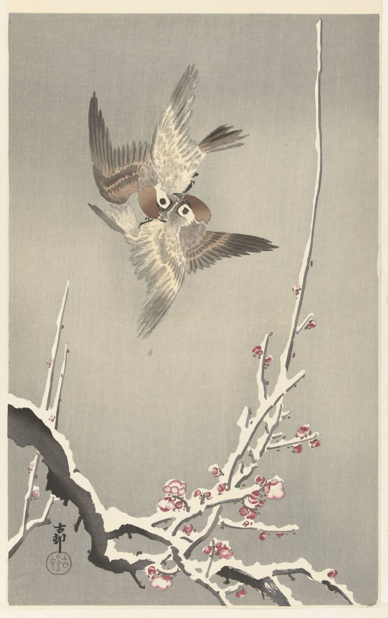 Wróble i ośnieżona śliwa autorstwa Ohara Koson