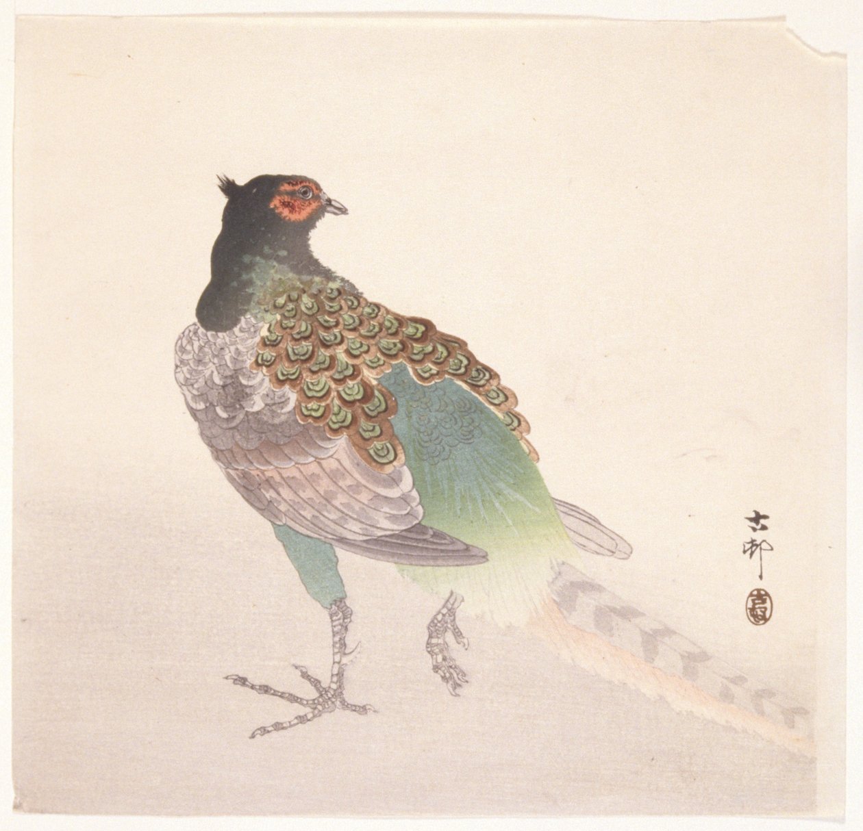Bażant (drzeworyt kolorowy) autorstwa Ohara Koson
