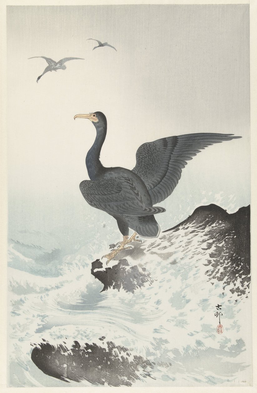 Kormoran czerwony na skale autorstwa Ohara Koson