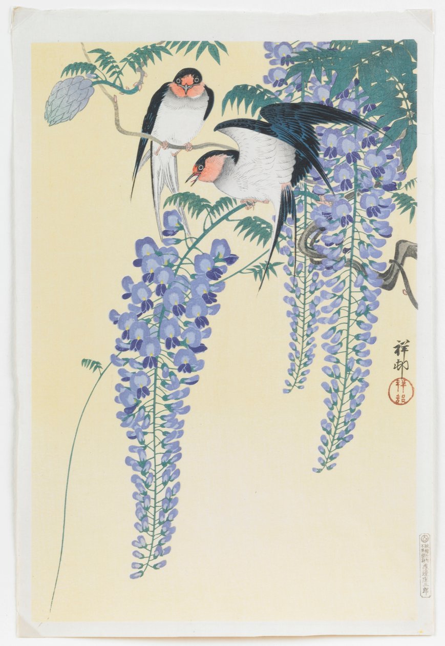 Jaskółki i Wisteria autorstwa Ohara Koson