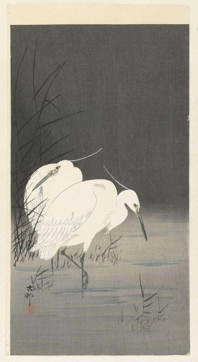 Dwie czaple w trzcinach autorstwa Ohara Koson