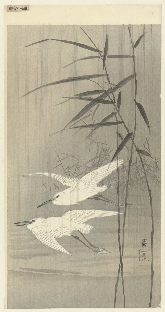 Dwie czaple w locie autorstwa Ohara Koson