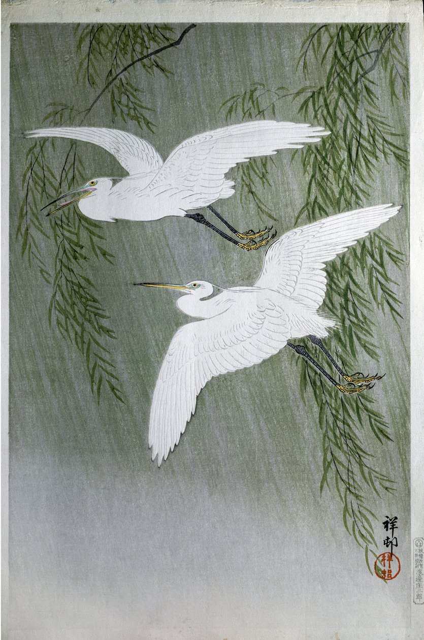 Dwie czaple lecące swobodnie, 1907 (drzeworyt kolorowy) autorstwa Ohara Koson