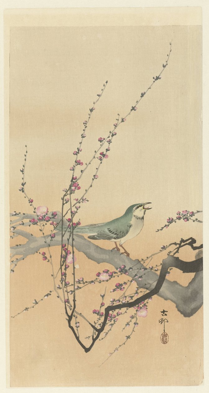 Ptak śpiewający i kwiat śliwy. autorstwa Ohara Koson