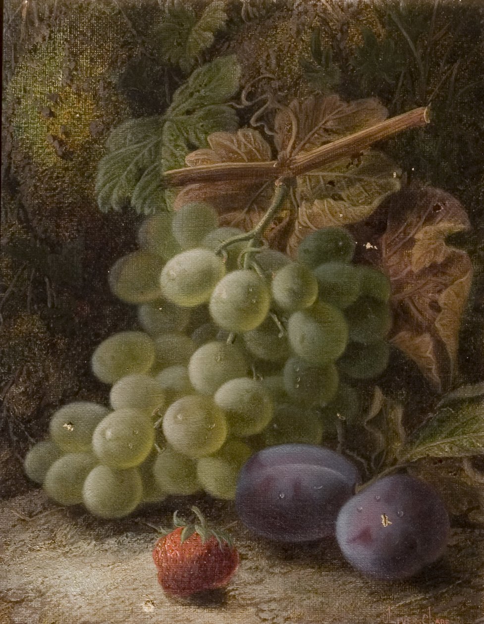 Kiść winogron, 1893 autorstwa Oliver Clare