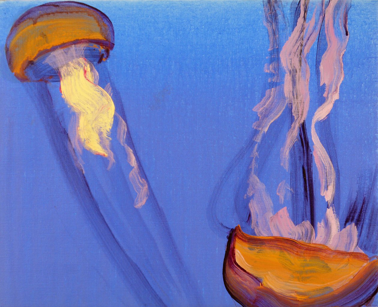 Méduses 7, 2013 (akryl na płótnie) autorstwa Olivier Morel