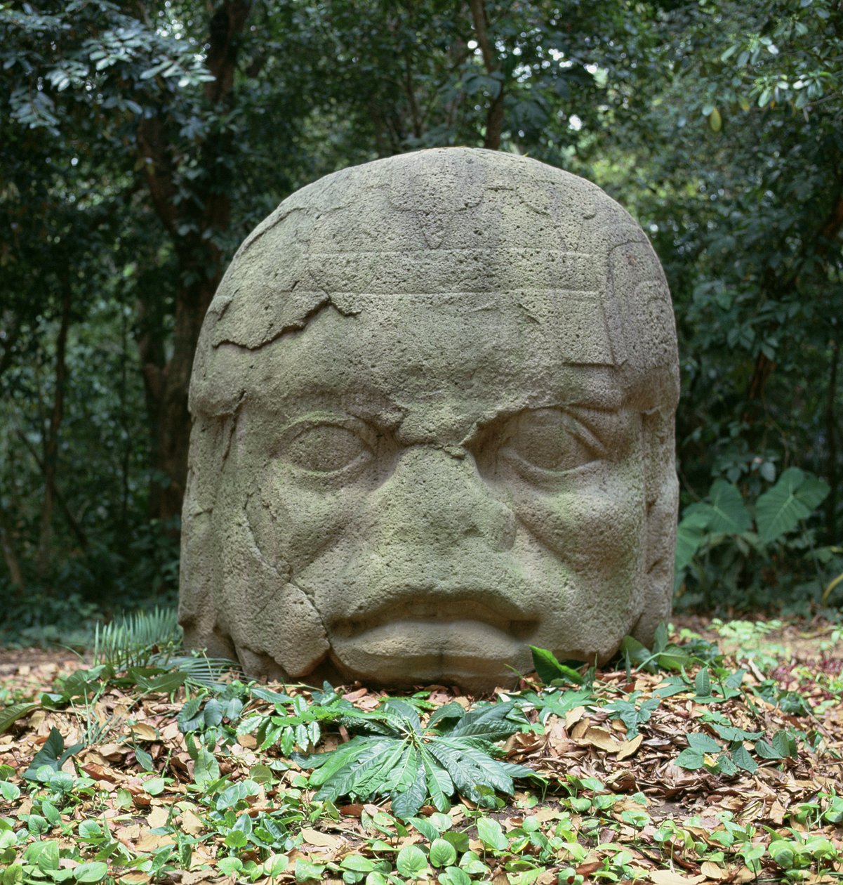 Kolosalna głowa 4, okres przedklasyczny autorstwa Olmec