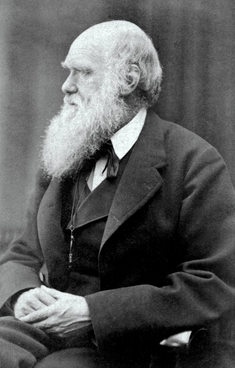 Karol Darwin, 1875 r autorstwa Oscar Gustav Rejlander