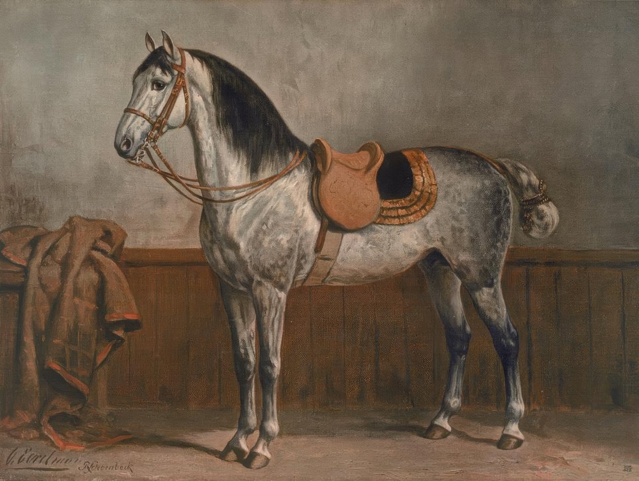Lipizzaner autorstwa Otto Eerelman