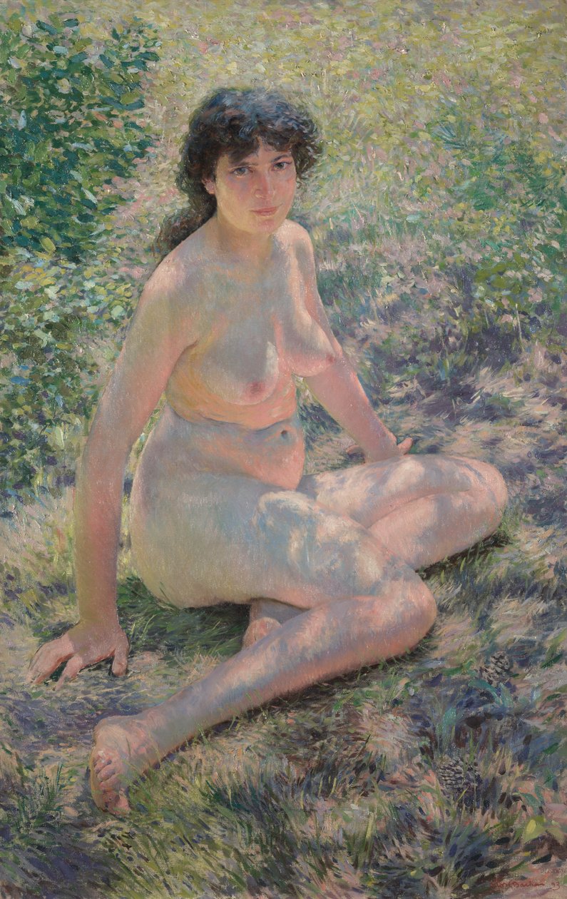 Lipiec 1893. autorstwa Otto H. Bacher