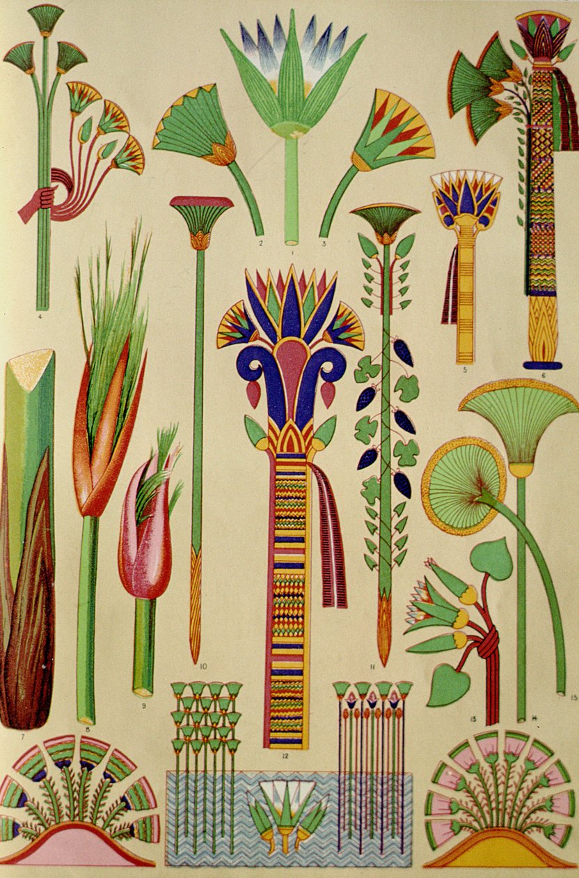 Ornament egipski z 