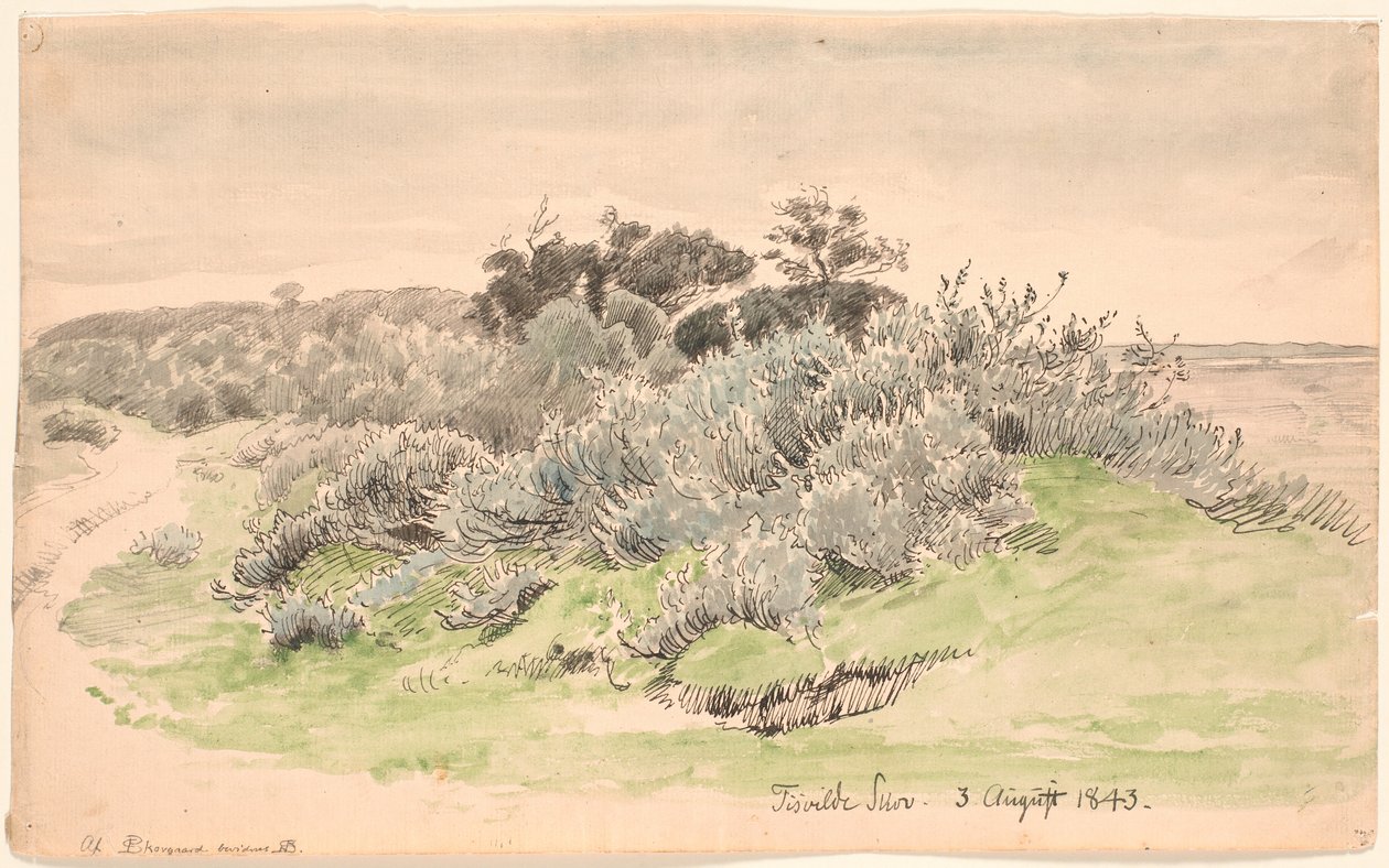 Krajobraz z zaroślami. autorstwa P.C. Skovgaard