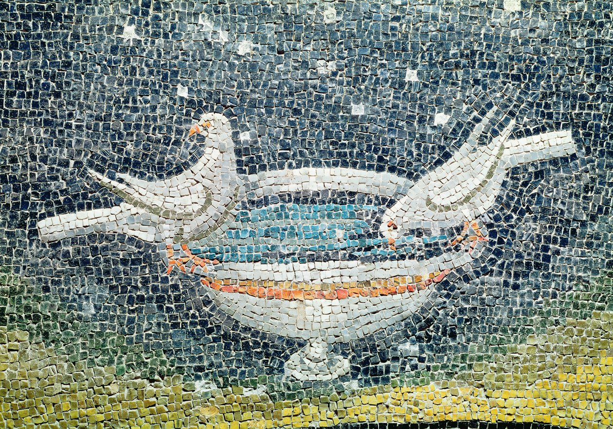 Gołębie pijące z misy, ok. 430 r. n.e. (mozaika) autorstwa Paleo Christian